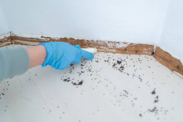 Best Residential Pest Control  in Merton, WI